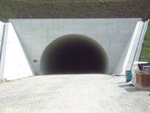 NbNƊg債܂
